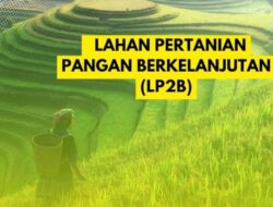 Ini Tanggapan Mbah Goen Tentang Raperda RTRW dan LP2B Kabupaten Bekasi