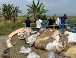 DLH Karawang Gerak Cepat Tangani Pembuangan Limbah B3 di Desa Kalibuaya 