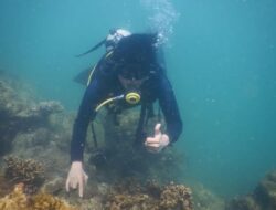 Perburuan Liar Harta Karun Kapal VOC,Ancam Kepunahan Terumbu Karang Sendulang 
