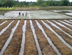 Luas Lahan Sawah di Karawang Masih 101 Ribu Hektare ,Kadistan  menjawab Pertanyaan Mantan Bupati Karawang