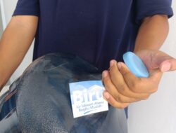 Harapan BIRU Raih Pundi Pundi Cuan Di Trans Pantai Utara Karawang