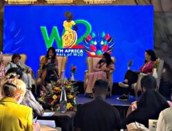Pemberdayaan Perempuan Digital Sisternet sebagai Best Practice, Acara W20 Summit di Afrika Selatan