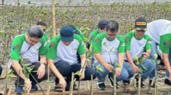 Menanam Harapan di Tepi Laut Desa Muarabaru untuk Masa Depan Hijau