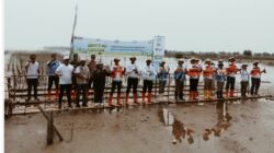 PLN Tanam 15 Ribu Mangrove di Karawang, Selamatkan Pesisir yang Terancam Hilang