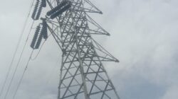 LSM Lodaya Persoalkan sutet di Kawasan Hutan Tanpa Izin