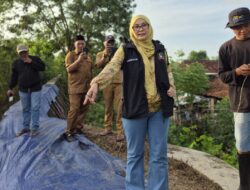 Anggota DPRD Karawang Hj. Saidah Anwar Tinjau Tanggul Citarum yang Rawan Jebol e Telukbango 