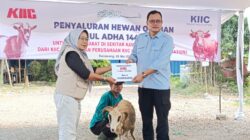 KIIC dan Tenant Association Salurkan Salurkan Hewan Kurban di Idul Adha 1447 Hijriyah