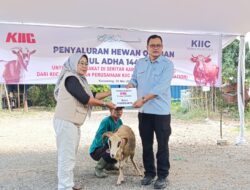 KIIC dan Tenant Association Salurkan Salurkan Hewan Kurban di Idul Adha 1447 Hijriyah