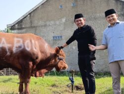 Ketua DPRD Karawang  Serahkan Hewan Kurban dari Presiden Prabowo ke Warga Kelurahan Plawad