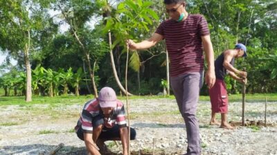 Mbah Goen dan Dedikasinya untuk Lingkungan Hijau