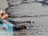 Pantai Cemara Jaya Tercemar Limbah di Duga Ceceran Oil Spill
