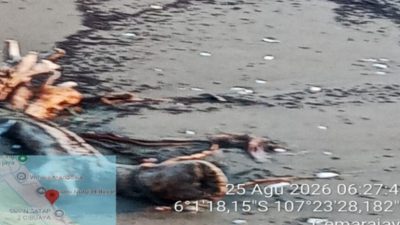 Pantai Cemara Jaya Tercemar Limbah di Duga Ceceran Oil Spill